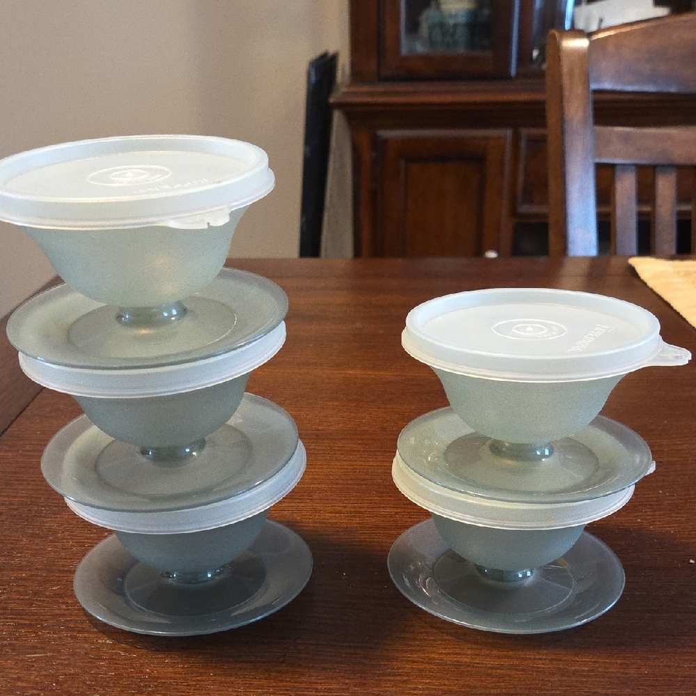 Tupperware Frosted Lid
